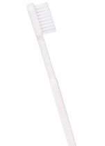 Image de BROSSE À DENTS MEDIUM - BOITE DE 50