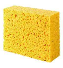 Image de EPONGE VÉGÉTALE N°4