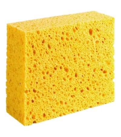 Image de EPONGE VÉGÉTALE N°6
